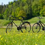 Two bicycles parked in a vibrant green field surrounded by blooming yellow flowers and lush trees.
